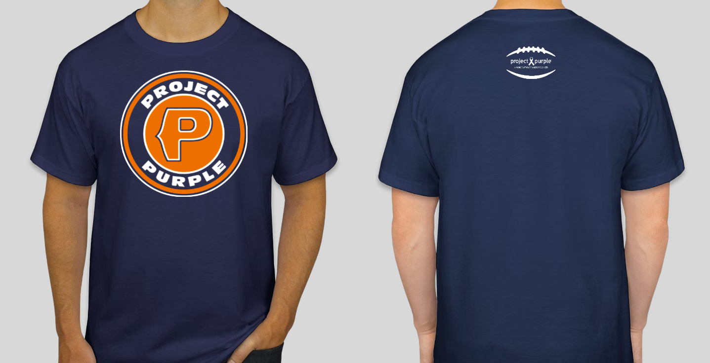 Bears inspired project purple logo