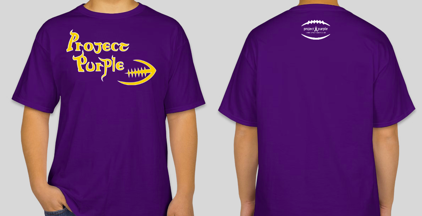 vikings inspired project purple logo