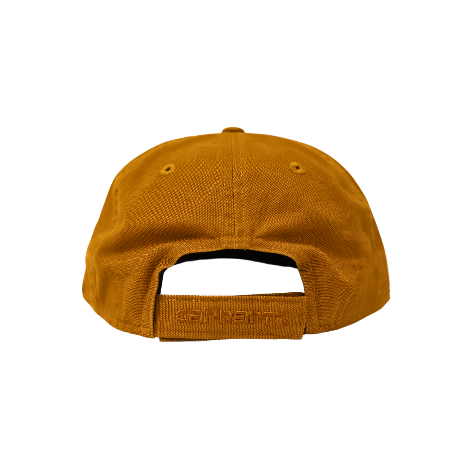 brown project purple carhartt hat back view