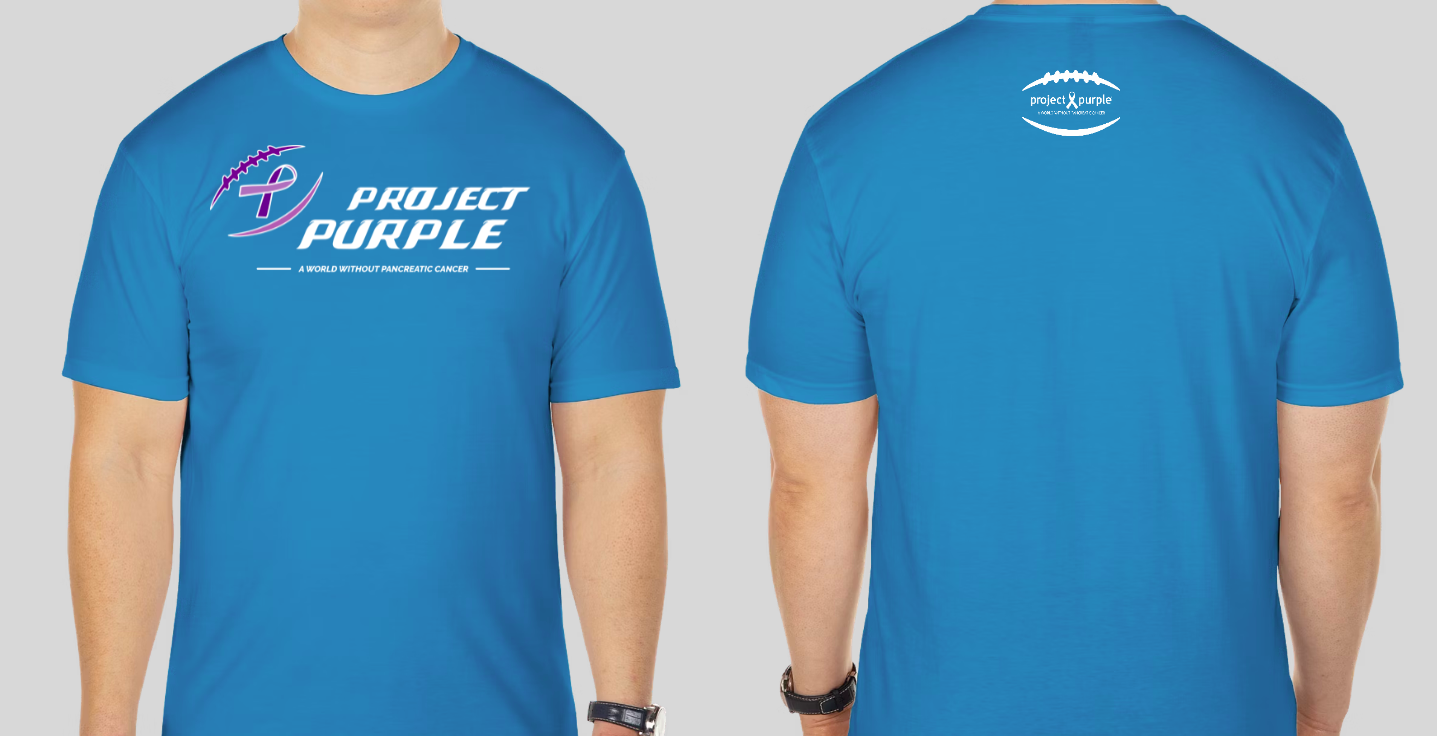Lions inspired project purple logo
