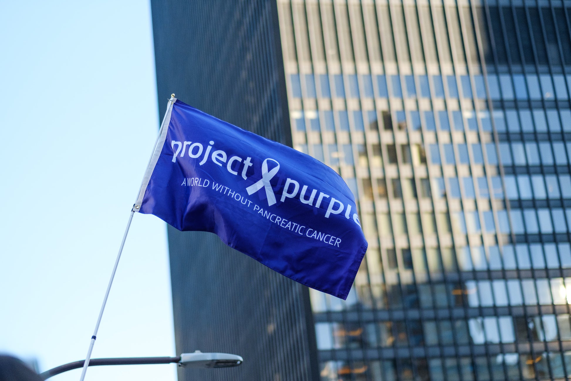 Purple flag in front of building with white Project Purple logo